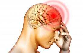No meningitis epidemics