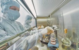 Ежегодно в стране регистрируются около 35 тысяч новых случаев рака