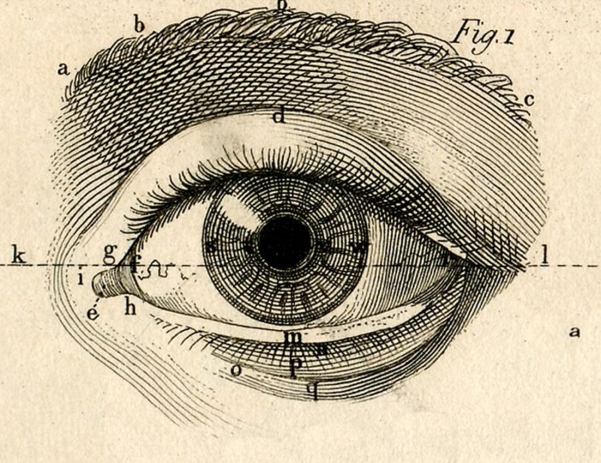 Eye на русский язык