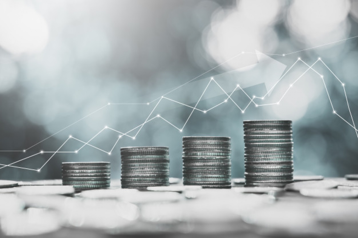 التعويم وتحرير سعر الصرف