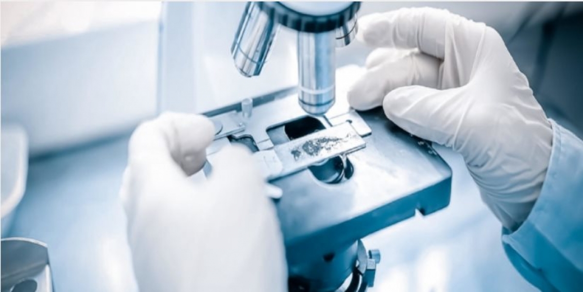 На 70% обновлена материально-техническая база органов судебных экспертиз