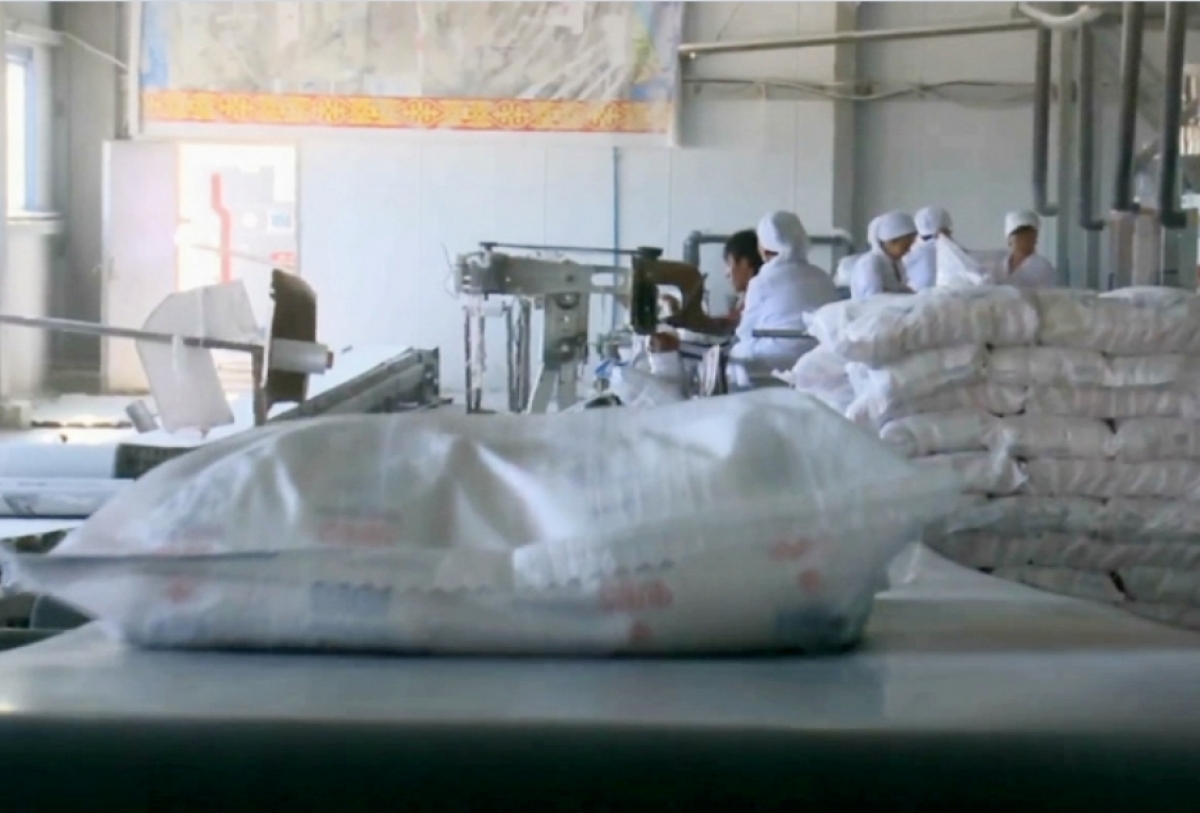 Проект по производству кальцинированной соды позволит привлечь инвестиции в регион – аким Кызылординской области