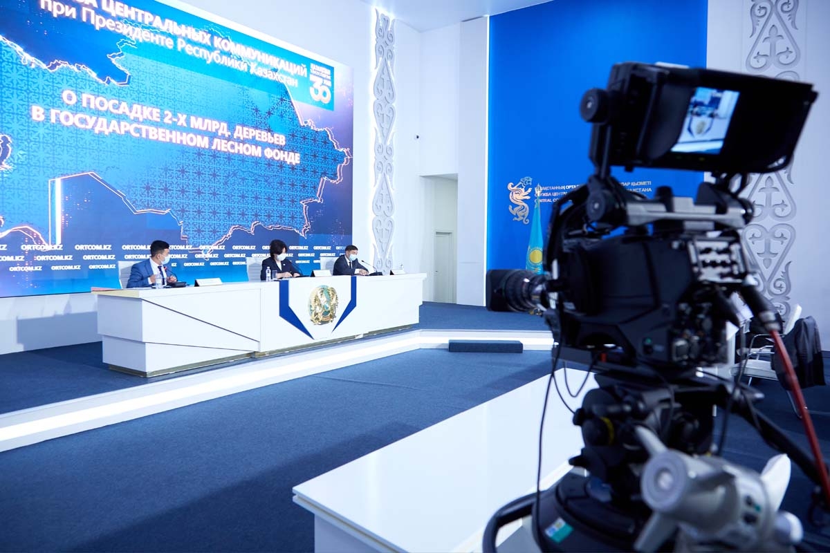 Минэкологии: в ближайшие 5 лет запланирована посадка 2 млрд деревьев