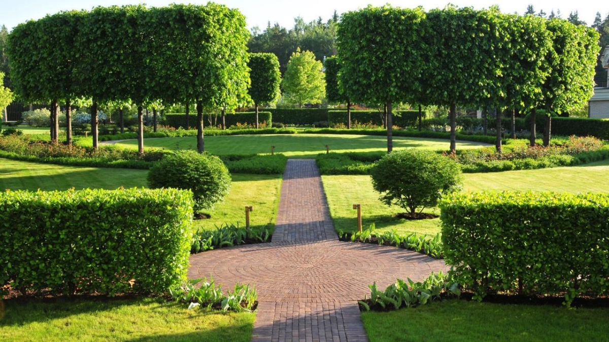 В Караганде создадут спецорганизацию по озеленению