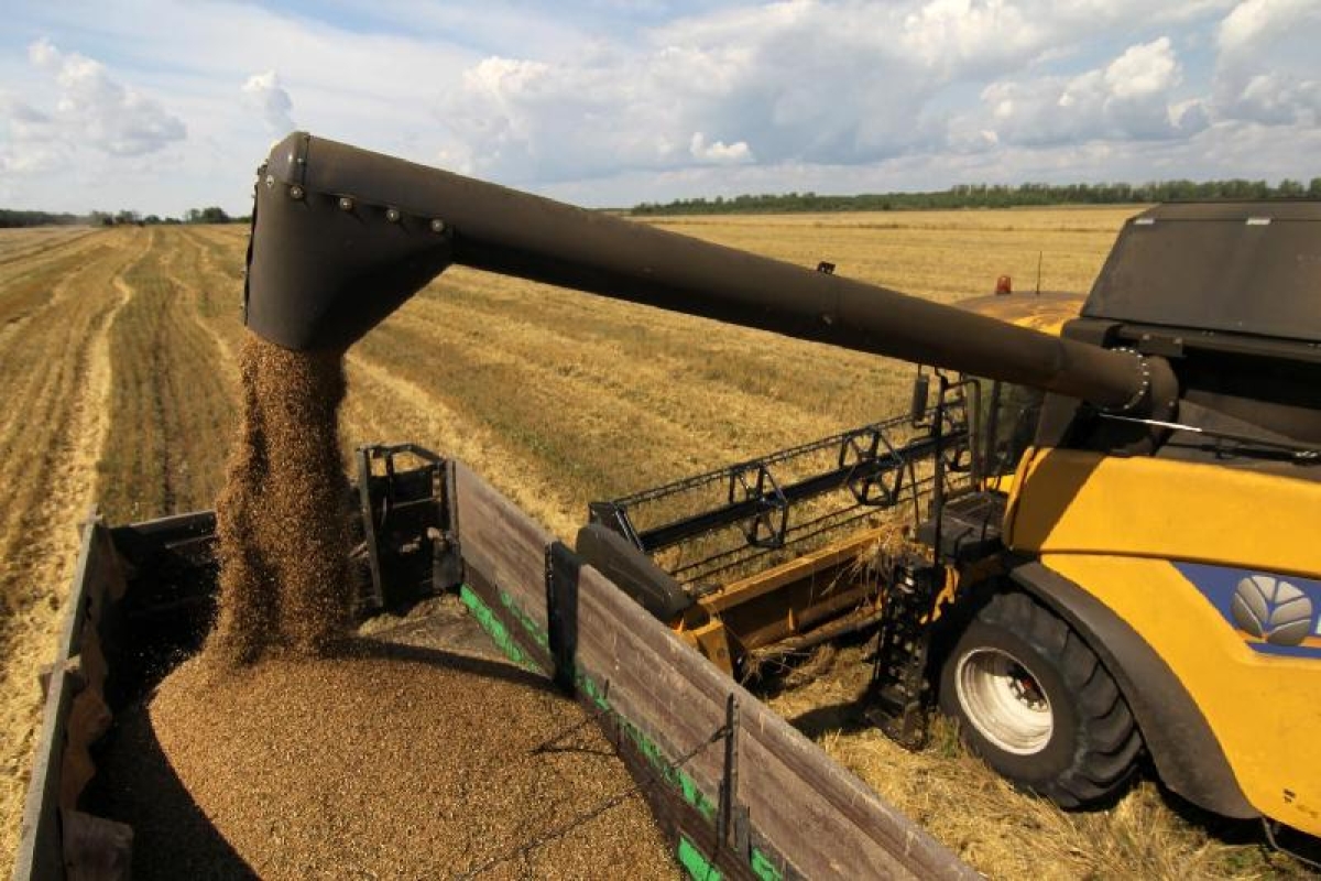 Средняя урожайность сельхозкультур в Казахстане составляет 14,6 ц/га