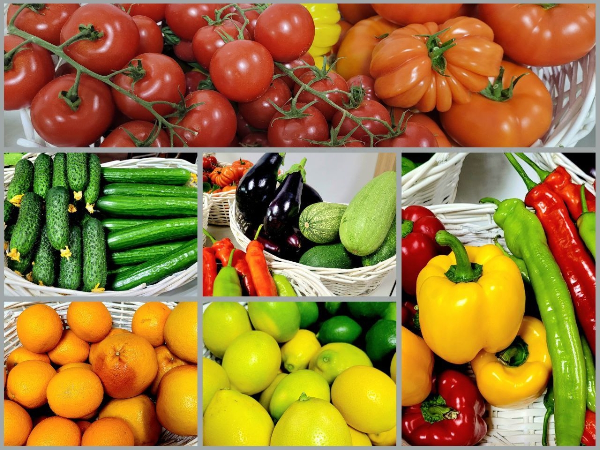 Мемлекеттік қолдау отандық ауыл шаруашылығы кәсіпорындарын дамытуға қалай көмектеседі: қарағандылық жылыжайлар тәжірибесі