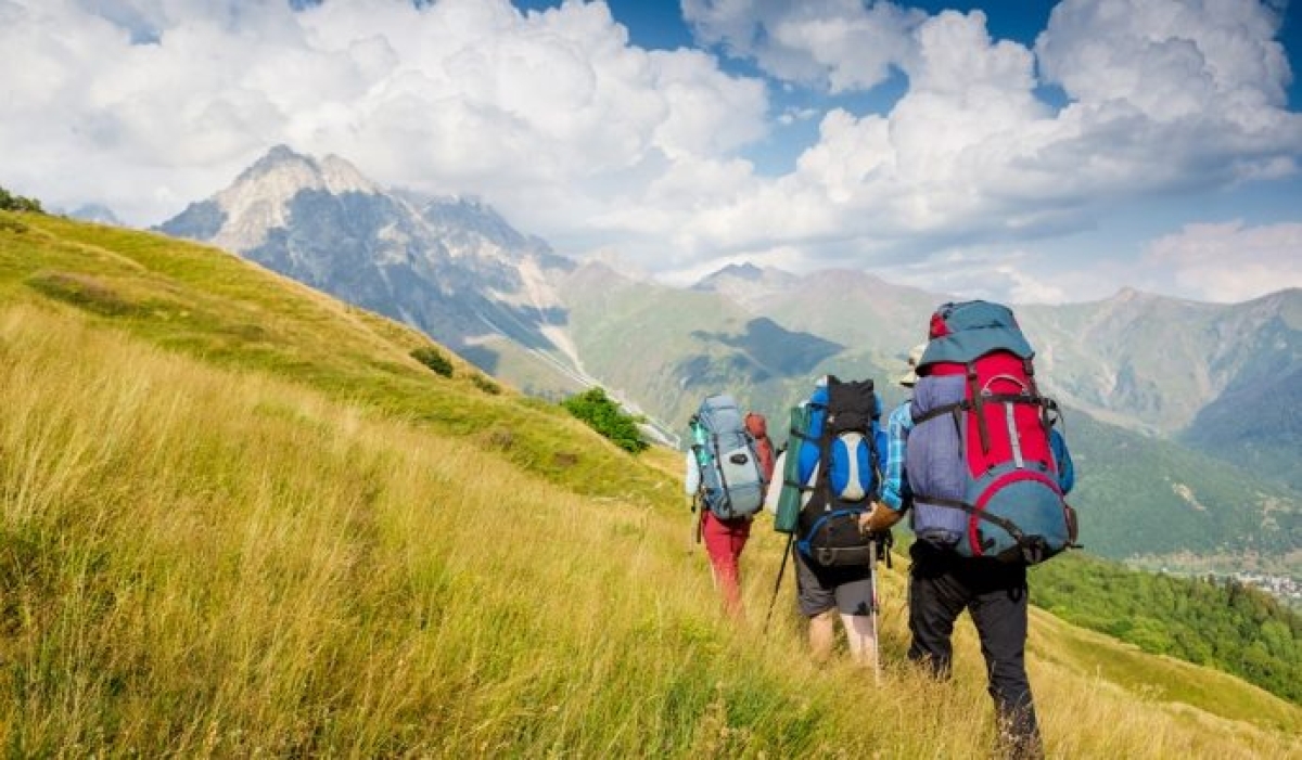 Около 314 млн тенге от туристских взносов иностранцев поступили в бюджеты акиматов с начала года