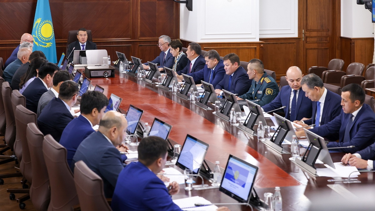 Необходимо активизировать привлечение частных инвестиций для развития сельских территорий — Алихан Смаилов