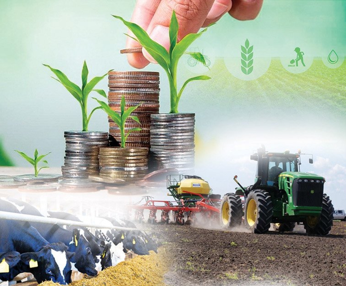 Крупные инвестиционные проекты в сельском хозяйстве реализуются в Казахстане