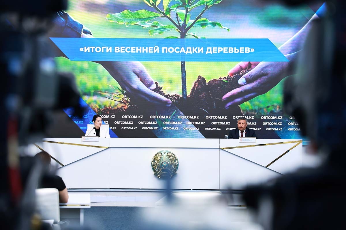 Минэкологии: более 1 млрд деревьев посажено по республике