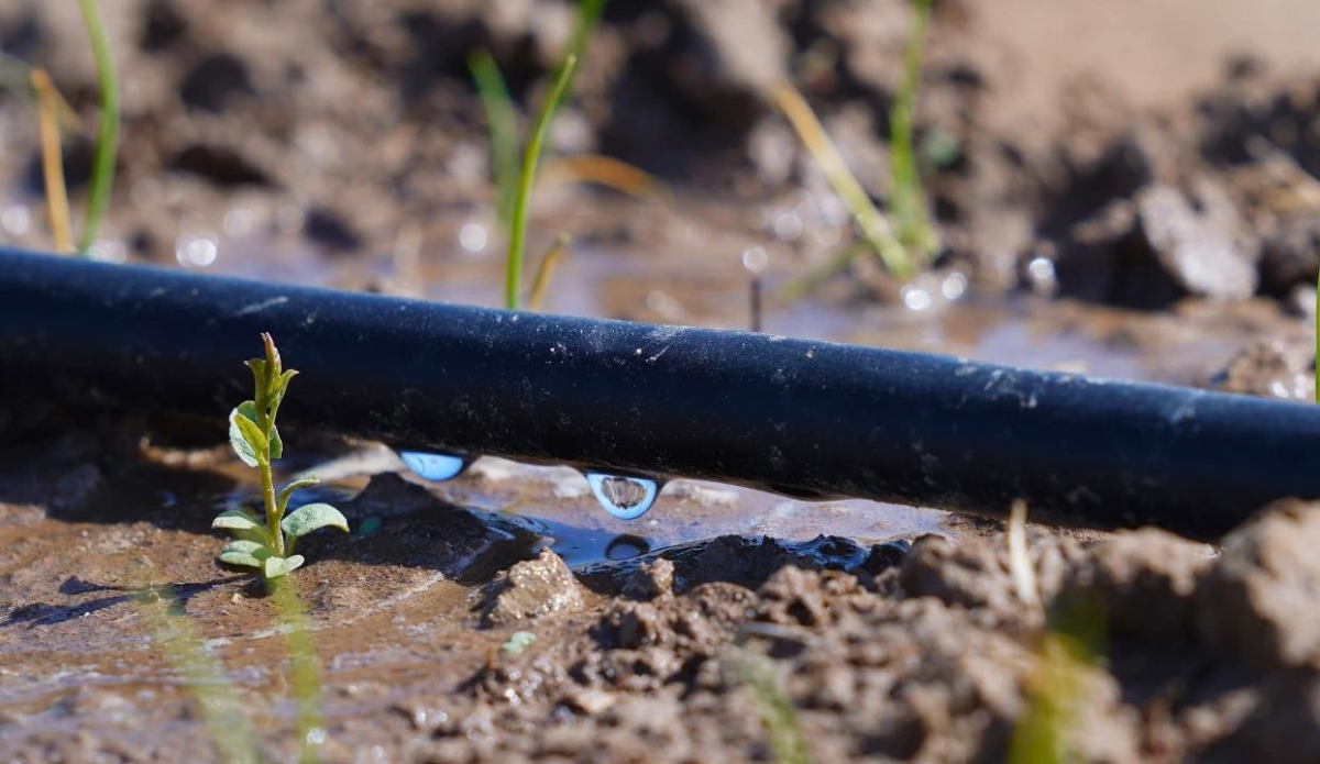 Приняты меры по обеспечению водоснабжением аграриев Кызылординской и Туркестанской областей