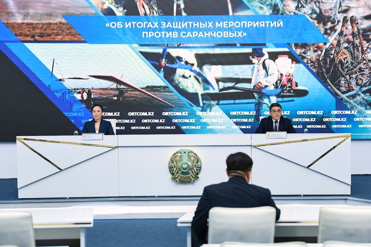 В Казахстане обработано 2,7 млн гектаров в рамках борьбы с саранчой