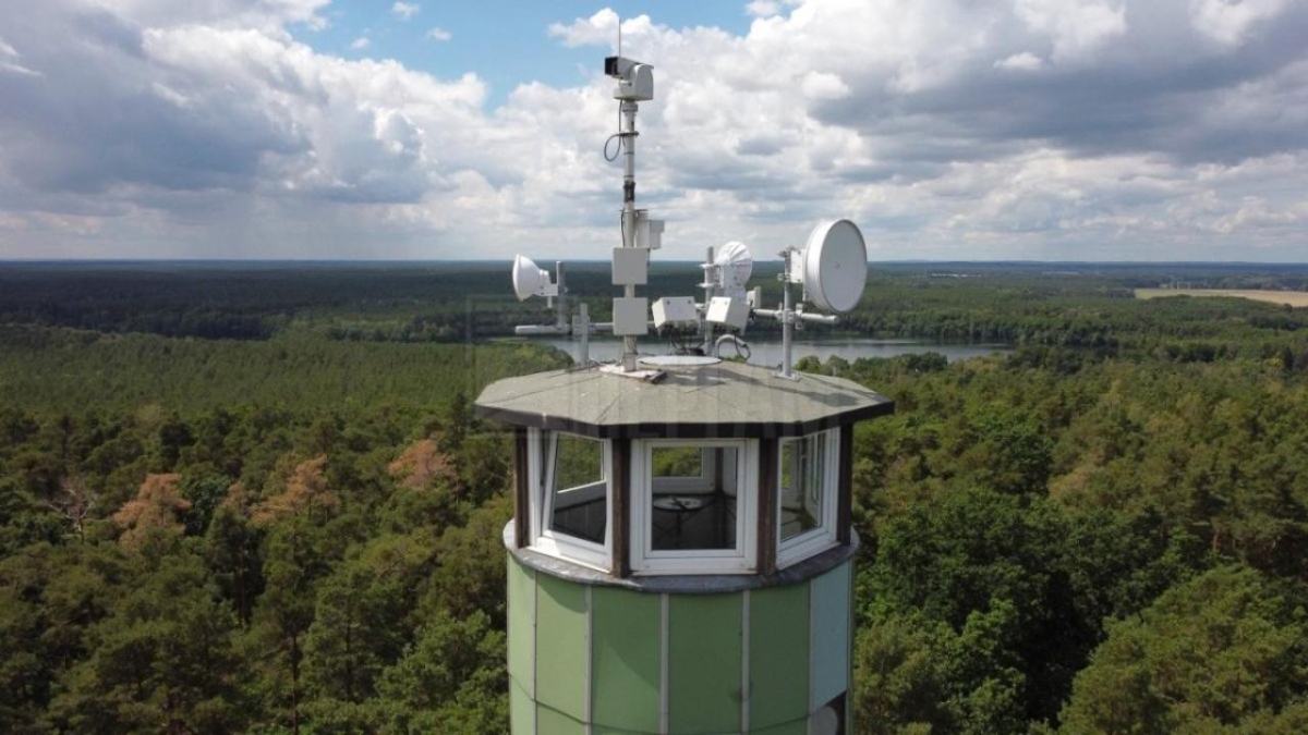 В 3 раза сократилось время реагирования на лесные пожары