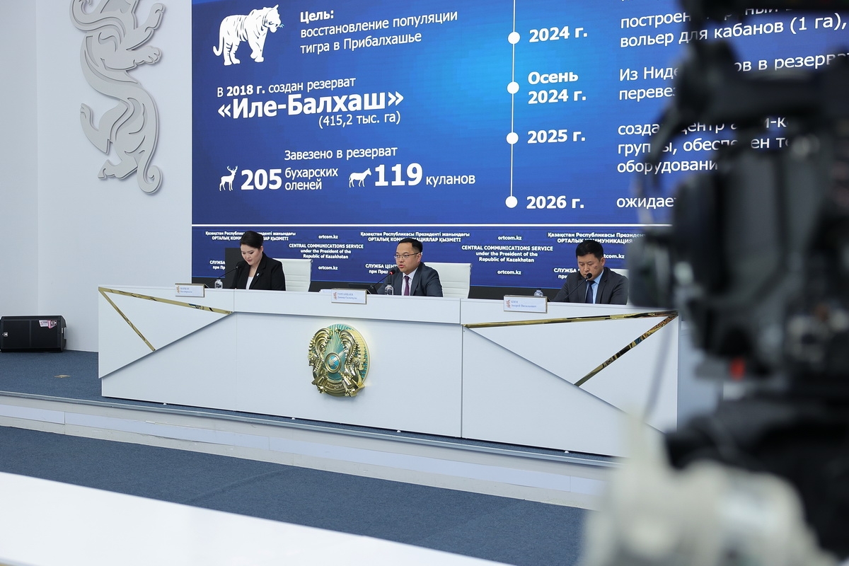 Двух тигров из Нидерландов привезли в резерват «Иле-Балхаш»