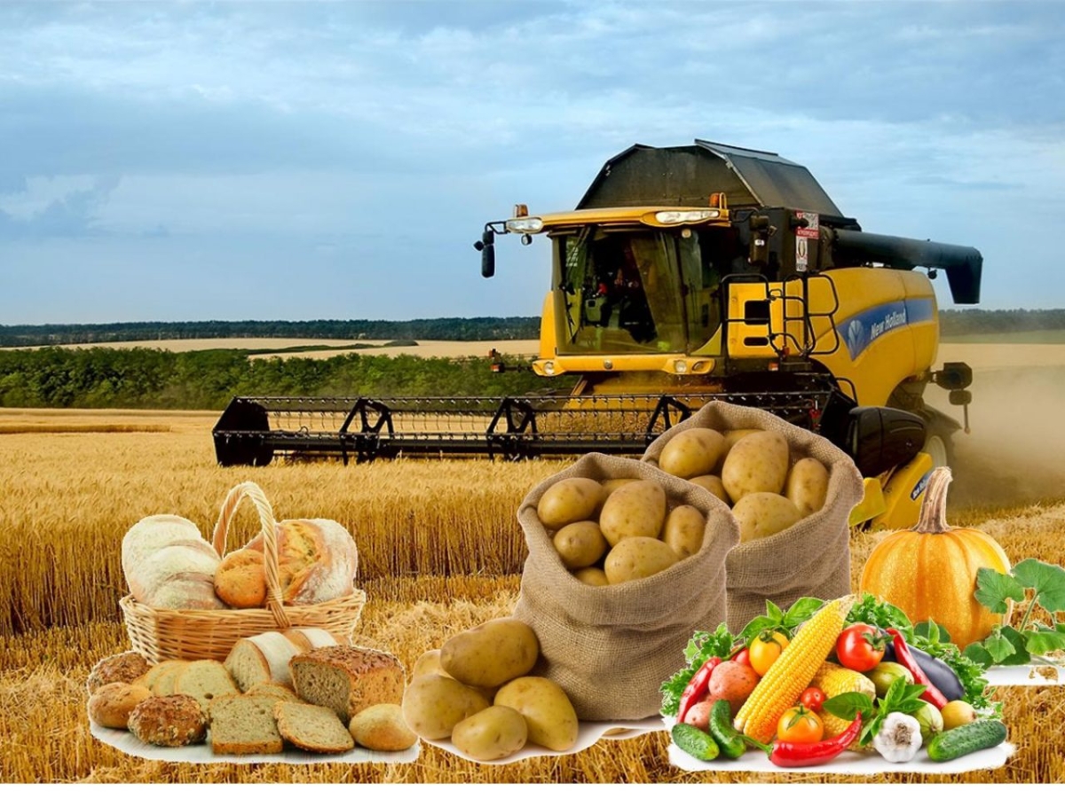 Объем производства сельхозпродукции в Алматинской области превысит 750 млрд тенге