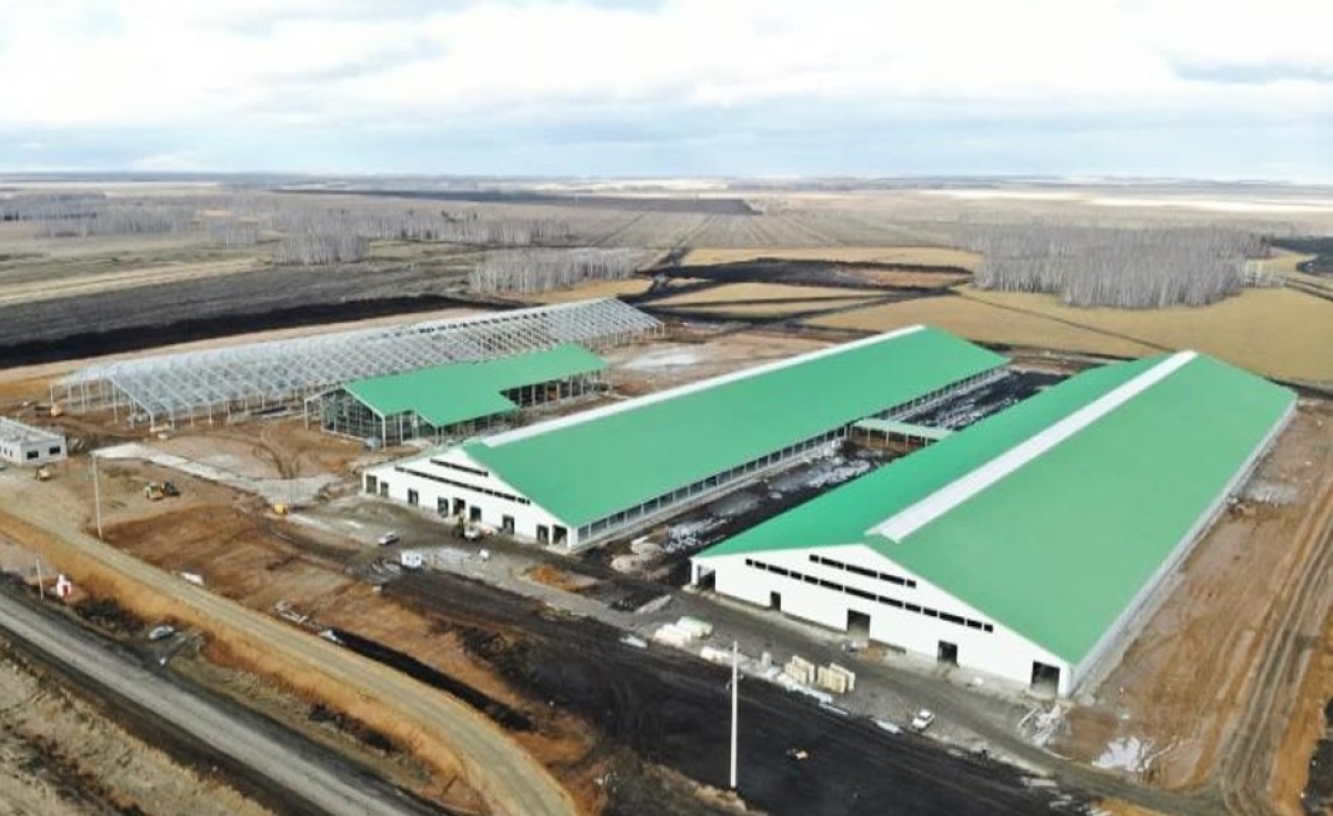 8 современных комплексов по производству молока запустят в этом году в СКО