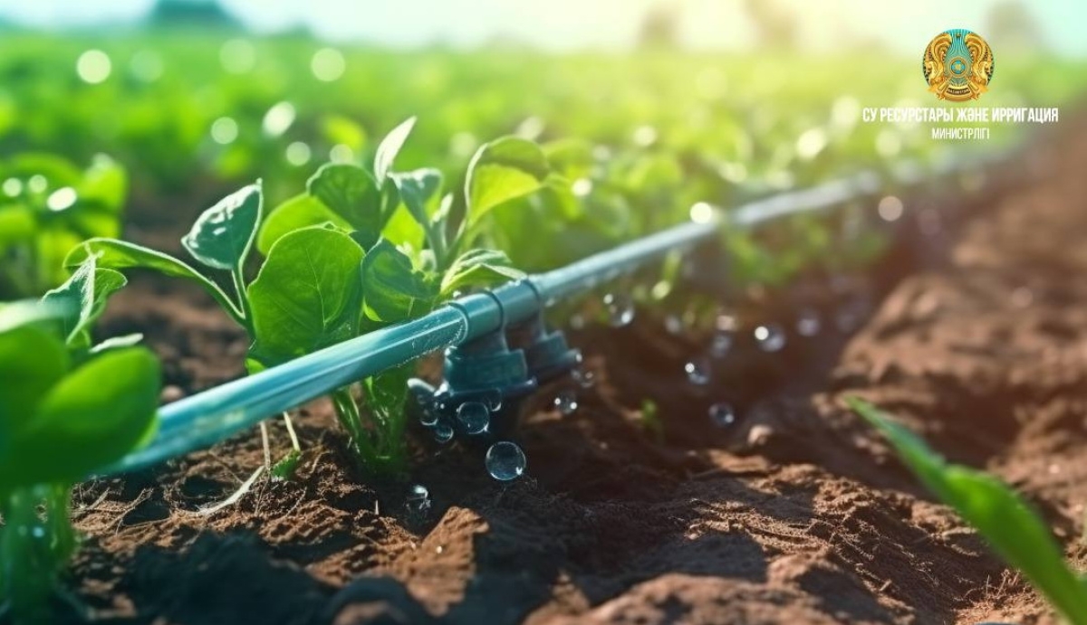 В этом году на орошение 1,2 млн га посевных площадей израсходовано 11 млрд кубометров воды