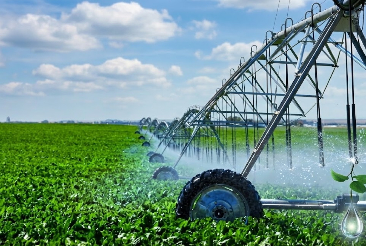 В Туркестанской области внедрены водосберегающие технологии на 114 тыс. га