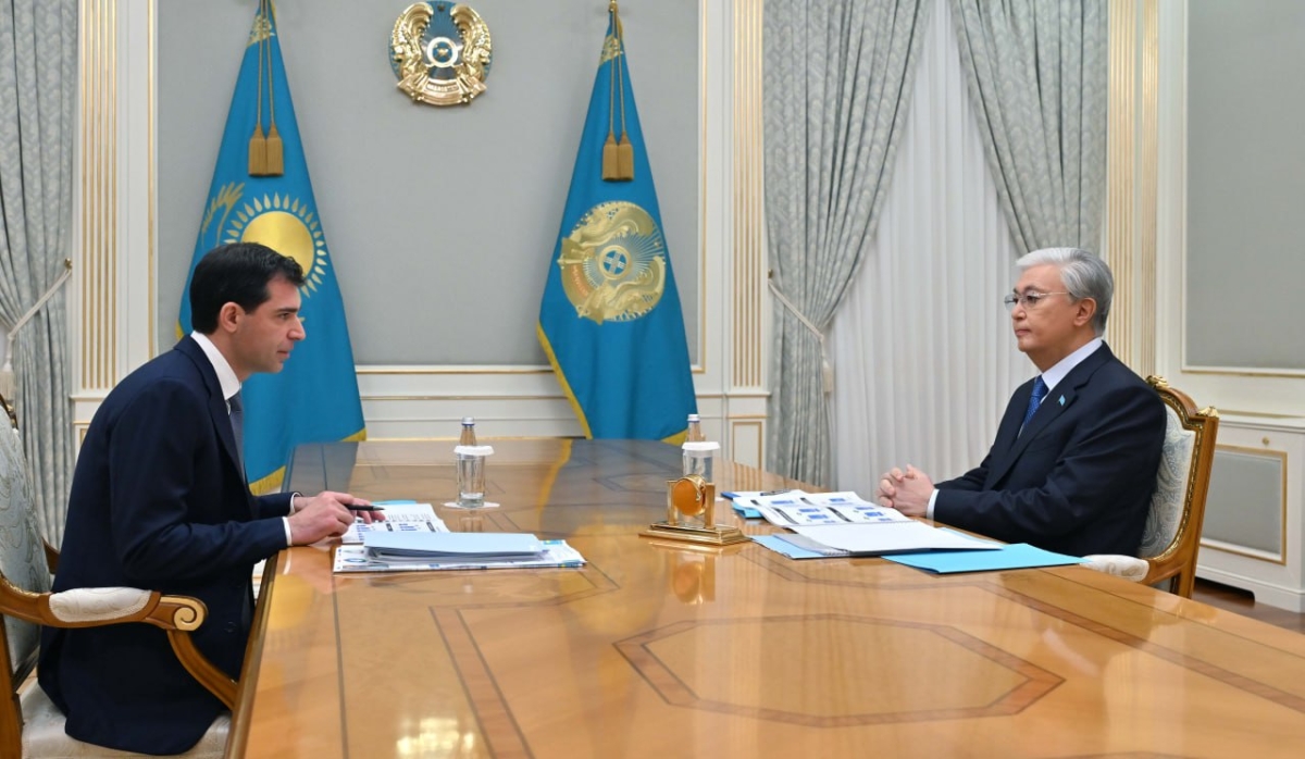 Глава государства принял председателя совета директоров Qarmet Андрея Лаврентьева