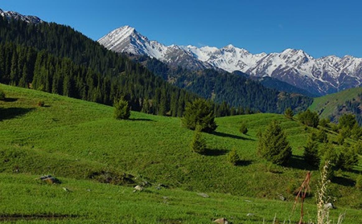 Рост туристской и инвестиционной привлекательности отмечен в Алматинской области