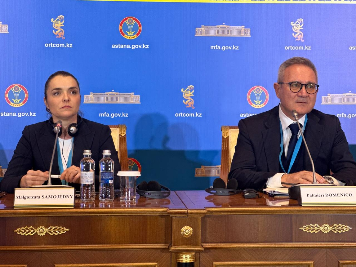 Референдум очень хорошо организован – глава Итальянского института по вопросам Азии